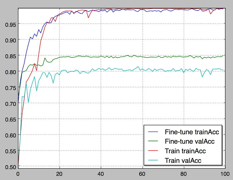 Comparing training and fine-tuning