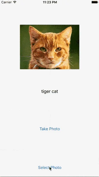 Step 4 screenshot from 10 More Deep Learning Projects Based on Apache Mxnet