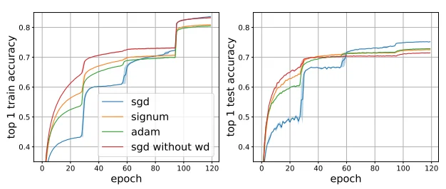 Learning ImageNet with Signum