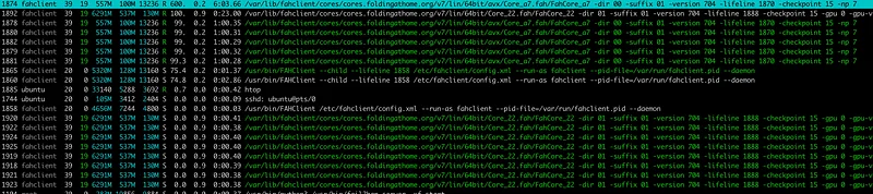 Step 3 screenshot from Running Folding Home on Amazon Ec2 Instances