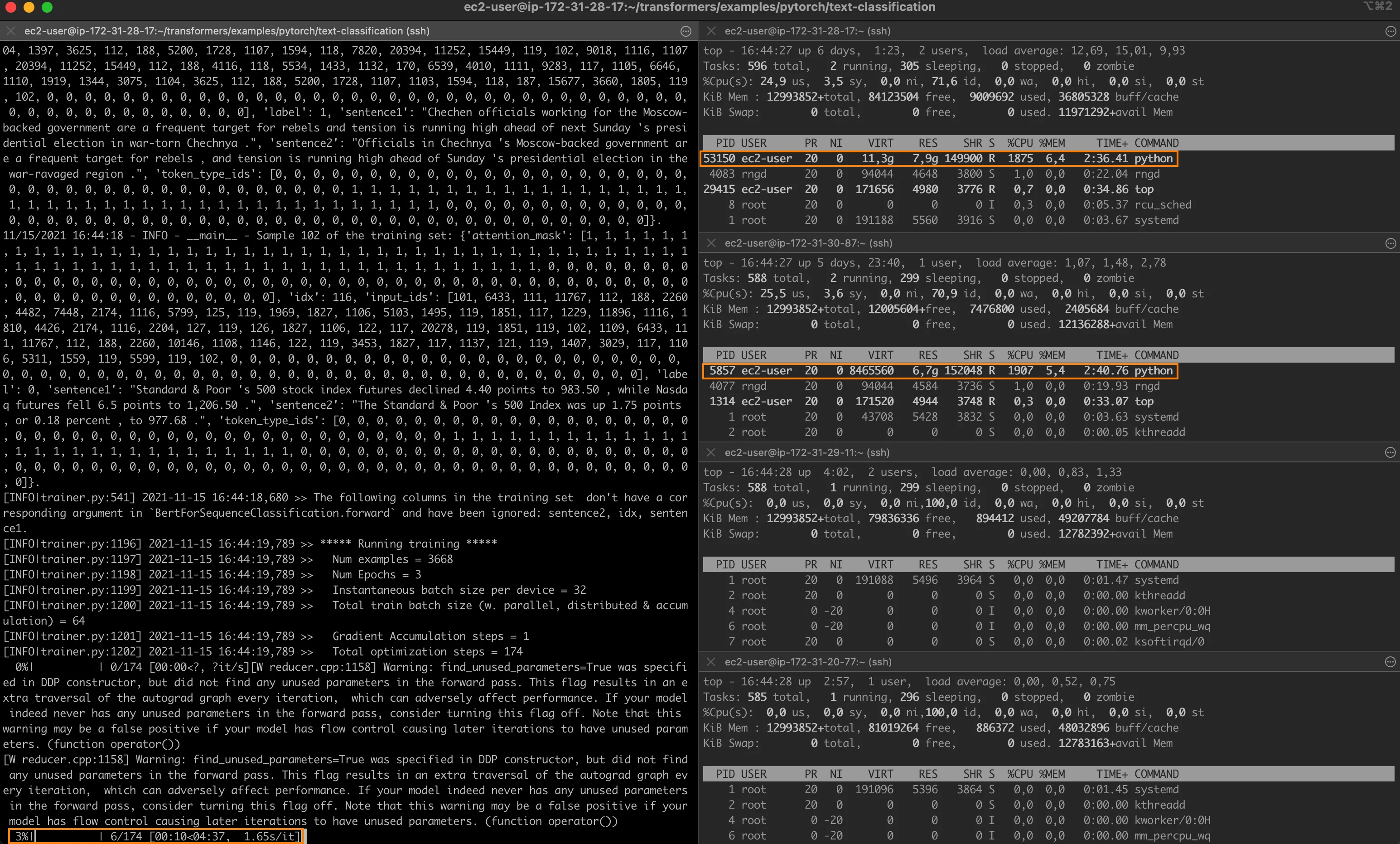 Step 3 screenshot from Accelerating Pytorch Distributed Fine Tuning with Intel Technologies